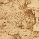 V122 - OLIVE ASH BURL