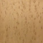 V018 - BIRDS EYE MAPLE