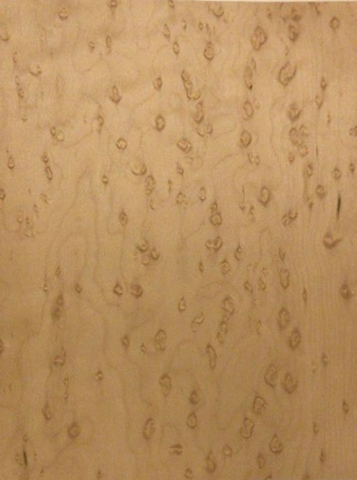 Birds-Eye-Maple V018 - BIRDS EYE MAPLE - Image 1