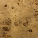 V004 - MAPPA BURL