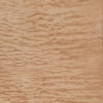 V069 - QUILTED MAPLE