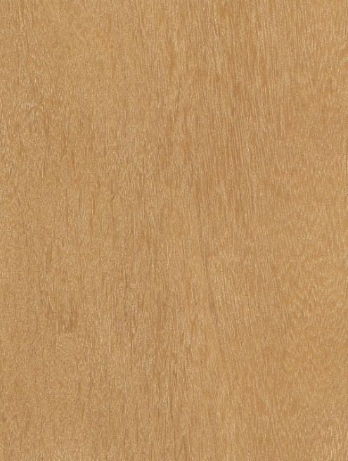 TATAJOBA V088 - TATAJOBA - Image 1